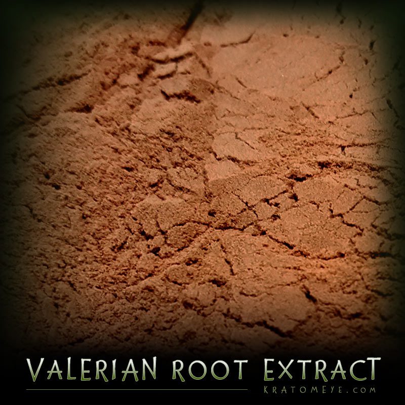 Valerian Root Extract Valerian Root Extract